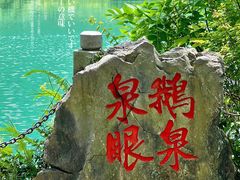 -靖西鹅泉风景区