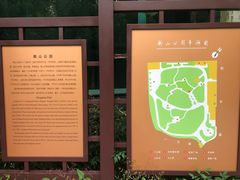 -徐家汇源景区-衡山公园
