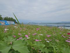 -石宝寨