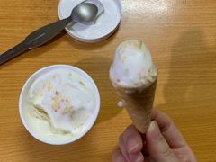 鲜椰子雪糕-歎雪糕低糖低脂Gelato冰淇淋