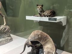 -国家自然博物馆