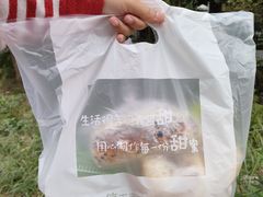 -广东金融学院(校本部)