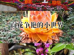 -华南国家植物园-售票处