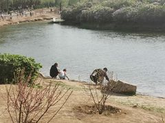 -丁香湖公园