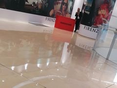 -约翰·菲茨杰拉德·肯尼迪国际机场