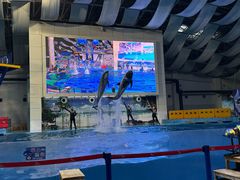 -合肥海洋世界