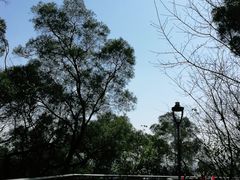 -金鸡山公园