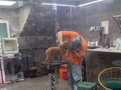 -汤姆宠物(长青北路店)