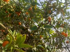 -云川台球(马甸店)