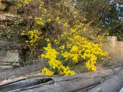 -北京上方山国家森林公园