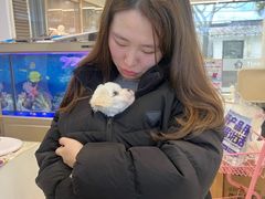 -翊宠yipet猫狗购宠庄园犬舍•猫舍