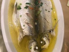 清蒸鲜白鱼-锡和无锡菜(景丽苑店)