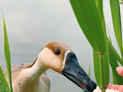 -南海子公园