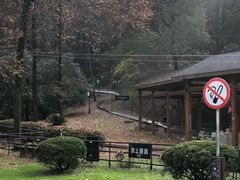 -东湖磨山景区