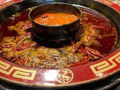 番茄鸳鸯锅-蜀辣居鲜货老火锅(红牌楼店)
