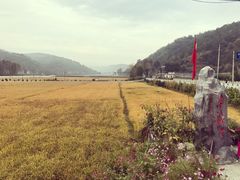 -南泥湾风景区