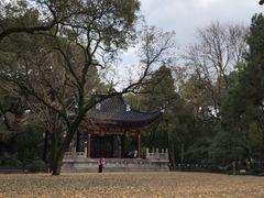 -汇龙潭