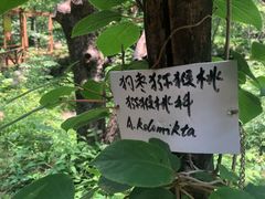 -大岭沟猕猴桃谷风景区