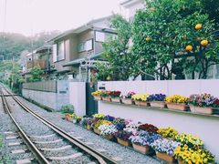 -灌篮高手动画打卡地