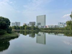 -大兴滨河森林公园