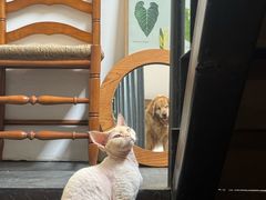 -自由生长植物工作室(深港花卉中心店)