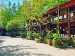 -青城甲(青城山店)