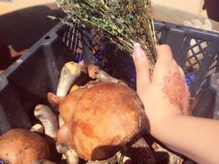 -野菌王牦牛肉汤锅