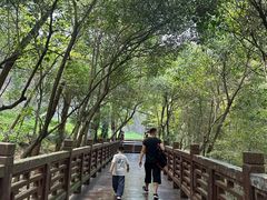-紫金山山顶公园