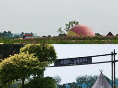 -空港花田景区