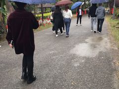 -锦江中华村农家乐饭庄