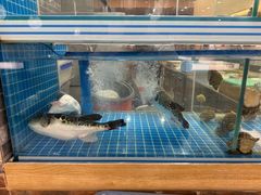 -红叶日料·放题·海胆·定食(星海店)