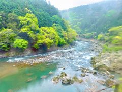 -岚山嵯峨野观光小火车
