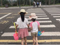 -枫香湖儿童公园