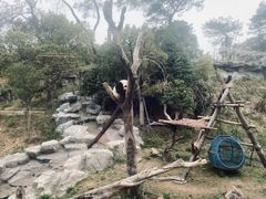 -宁波野生动物园