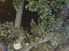 -津沽小院(天津之眼店)