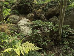 -巨石山景区