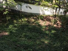 -上海佘山国家森林公园天马山园