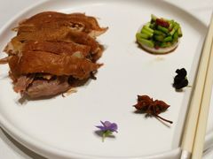 -阿五黄河大鲤鱼(海尚店)