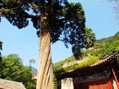 -北京上方山国家森林公园