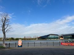 -上海长兴岛郊野公园