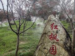 -广州市帽峰山景区