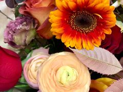 -蝶园·装修中(BFC外滩金融中心店)