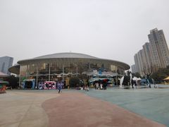 -海合安成都极地海洋公园