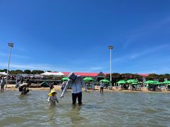-碧海金沙