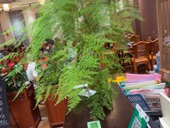 -顺德一品粥·20年凤城老字号(芳村店)