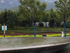 -佛慧山