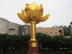 -金莲花广场