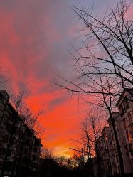 -莫莉幻想儿童乐园(北京天通苑华联店)