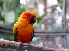 -大连森林动物园