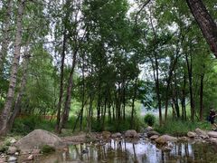 -玉渡山自然风景区